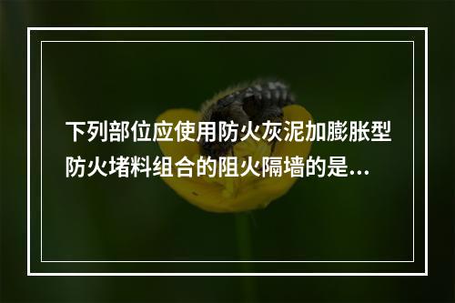 下列部位应使用防火灰泥加膨胀型防火堵料组合的阻火隔墙的是（　