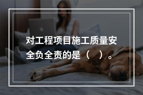 对工程项目施工质量安全负全责的是（　）。