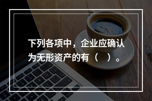 下列各项中，企业应确认为无形资产的有（　）。