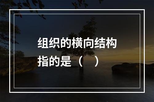 组织的横向结构指的是（　）