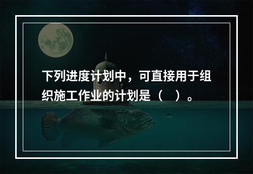 下列进度计划中，可直接用于组织施工作业的计划是（　）。