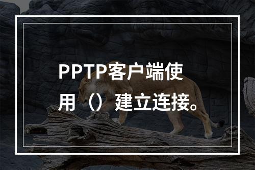 PPTP客户端使用（）建立连接。