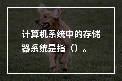 计算机系统中的存储器系统是指（）。