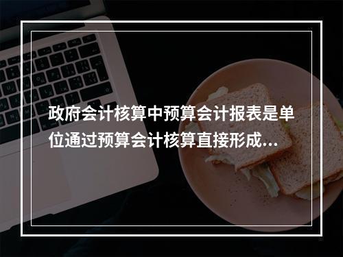 政府会计核算中预算会计报表是单位通过预算会计核算直接形成的报