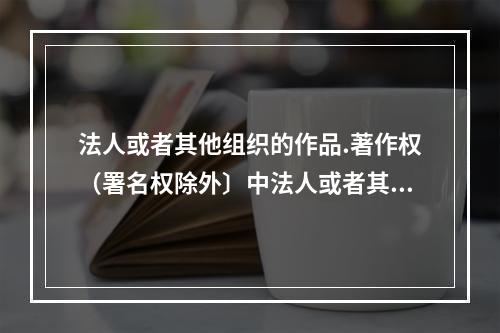 法人或者其他组织的作品.著作权（署名权除外〕中法人或者其他组