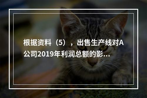 根据资料（5），出售生产线对A公司2019年利润总额的影响金