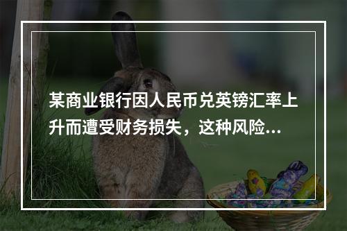 某商业银行因人民币兑英镑汇率上升而遭受财务损失，这种风险属于