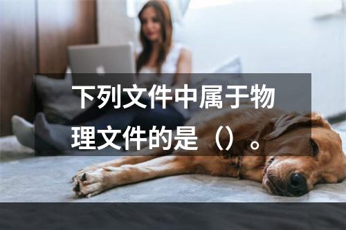 下列文件中属于物理文件的是（）。