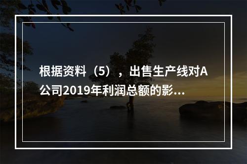 根据资料（5），出售生产线对A公司2019年利润总额的影响金