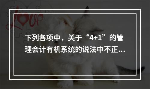 下列各项中，关于“4+1”的管理会计有机系统的说法中不正确的