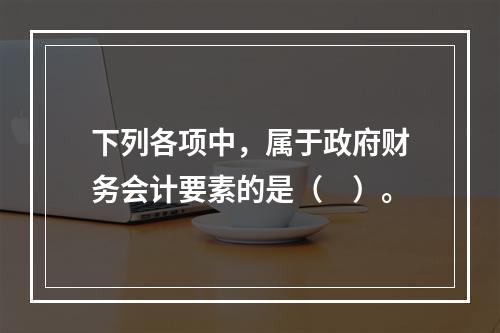 下列各项中，属于政府财务会计要素的是（　）。