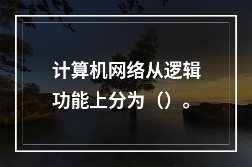 计算机网络从逻辑功能上分为（）。