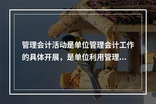 管理会计活动是单位管理会计工作的具体开展，是单位利用管理会计