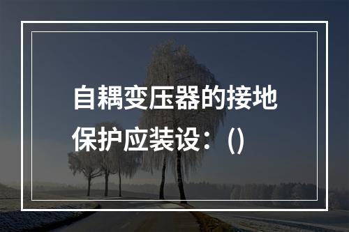 自耦变压器的接地保护应装设：()