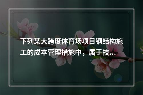 下列某大跨度体育场项目钢结构施工的成本管理措施中，属于技术措