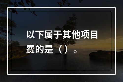 以下属于其他项目费的是（ ）。