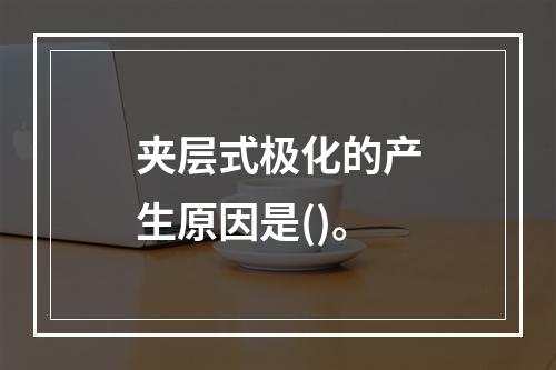 夹层式极化的产生原因是()。