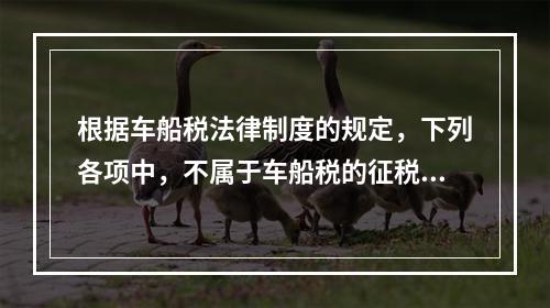 根据车船税法律制度的规定，下列各项中，不属于车船税的征税范围