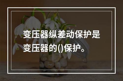 变压器纵差动保护是变压器的()保护。