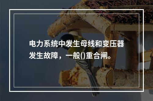 电力系统中发生母线和变压器发生故障，一般()重合闸。