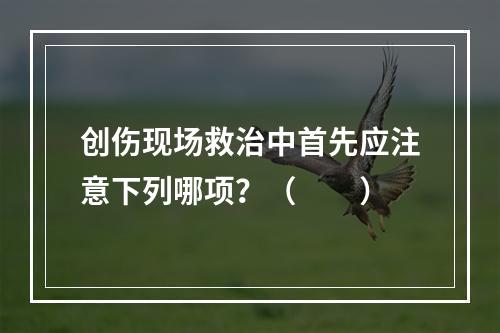 创伤现场救治中首先应注意下列哪项？（　　）