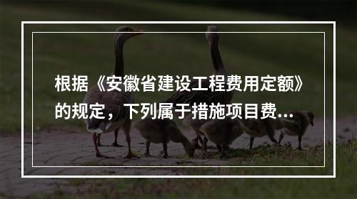 根据《安徽省建设工程费用定额》的规定，下列属于措施项目费的是