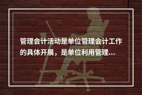 管理会计活动是单位管理会计工作的具体开展，是单位利用管理会计