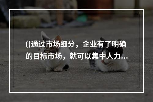 ()通过市场细分，企业有了明确的目标市场，就可以集中人力、财