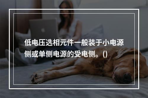 低电压选相元件一般装于小电源侧或单侧电源的受电侧。()