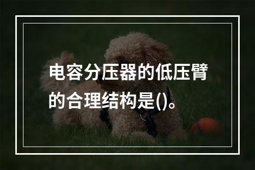 电容分压器的低压臂的合理结构是()。