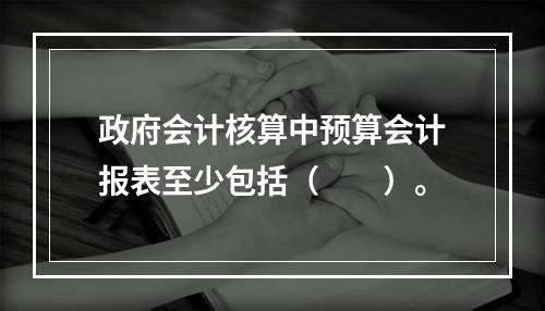 政府会计核算中预算会计报表至少包括（　　）。