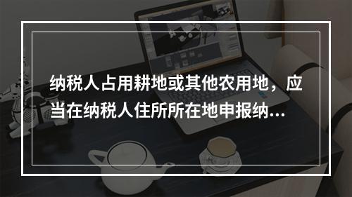 纳税人占用耕地或其他农用地，应当在纳税人住所所在地申报纳税。