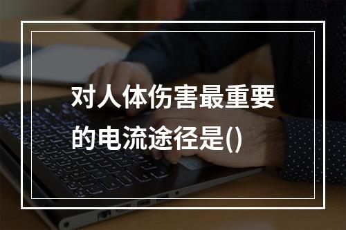 对人体伤害最重要的电流途径是()