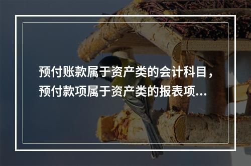 预付账款属于资产类的会计科目，预付款项属于资产类的报表项目。