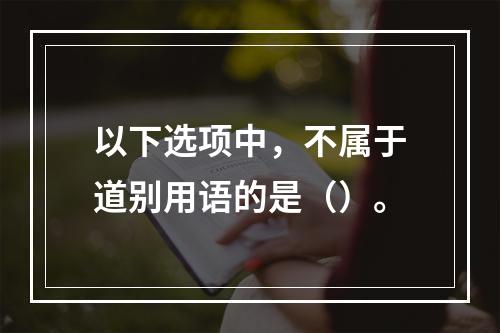 以下选项中，不属于道别用语的是（）。