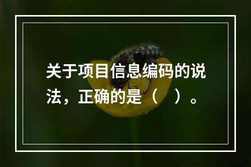 关于项目信息编码的说法，正确的是（　）。