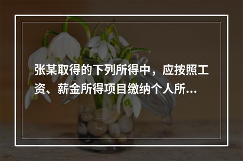 张某取得的下列所得中，应按照工资、薪金所得项目缴纳个人所得税