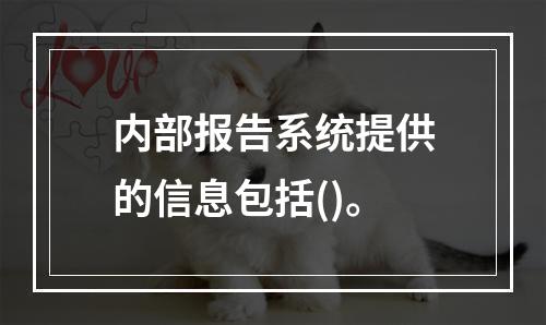 内部报告系统提供的信息包括()。