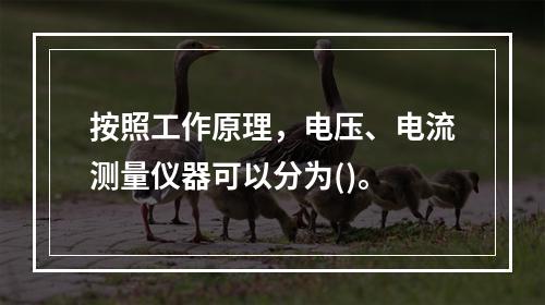 按照工作原理，电压、电流测量仪器可以分为()。