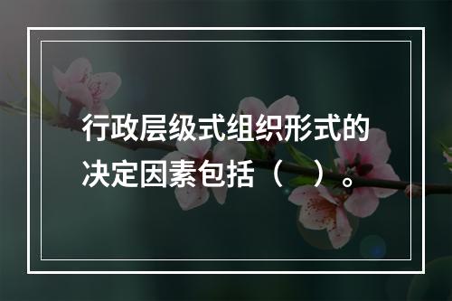 行政层级式组织形式的决定因素包括（　）。