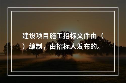 建设项目施工招标文件由（）编制，由招标人发布的。