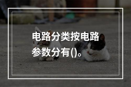 电路分类按电路参数分有()。