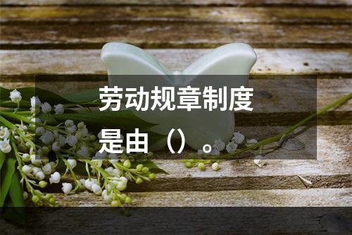 劳动规章制度是由（）。