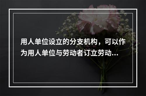 用人单位设立的分支机构，可以作为用人单位与劳动者订立劳动合同