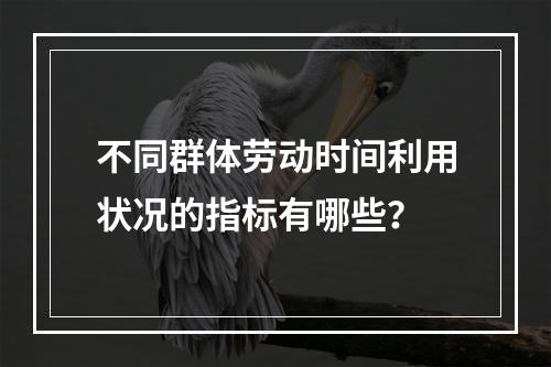 不同群体劳动时间利用状况的指标有哪些？