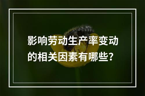 影响劳动生产率变动的相关因素有哪些？