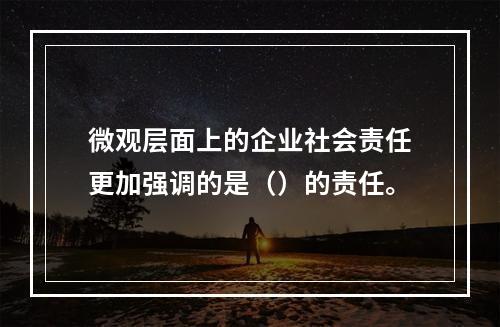 微观层面上的企业社会责任更加强调的是（）的责任。