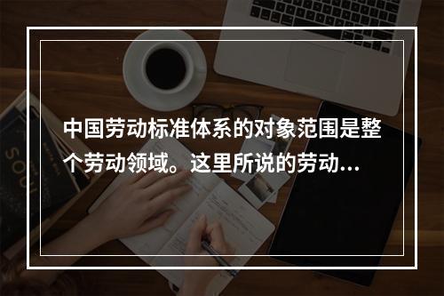 中国劳动标准体系的对象范围是整个劳动领域。这里所说的劳动领域