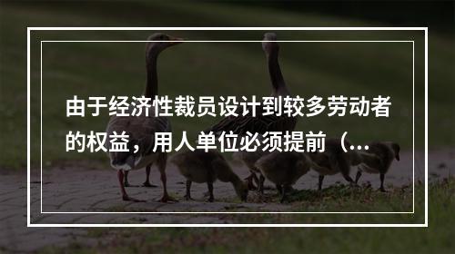 由于经济性裁员设计到较多劳动者的权益，用人单位必须提前（）天