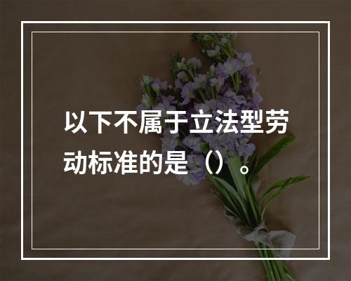 以下不属于立法型劳动标准的是（）。